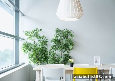 亚洲博彩公司深度解析：真人桌游直播的社交密码与串关策略