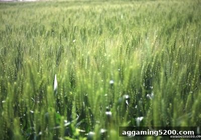 亚洲博彩公司新手攻略：充值返利与看路法全解析，助你轻松上手